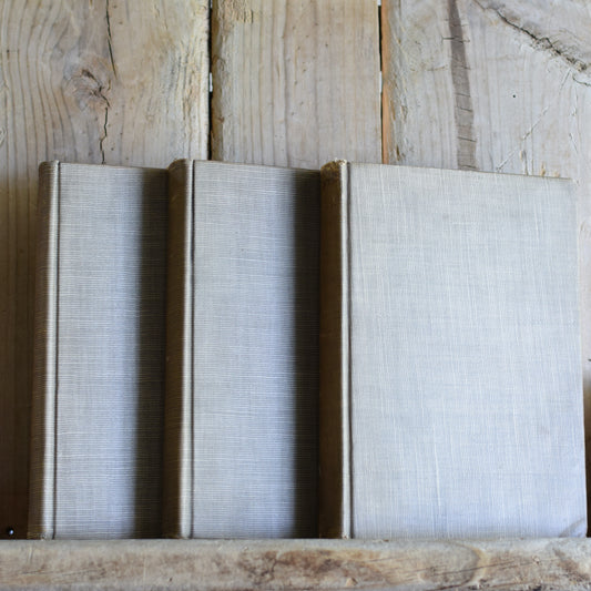 Antique Fiction Hardbacks: The Works of Alexandre Dumas in Thirty Volumes, set of 3