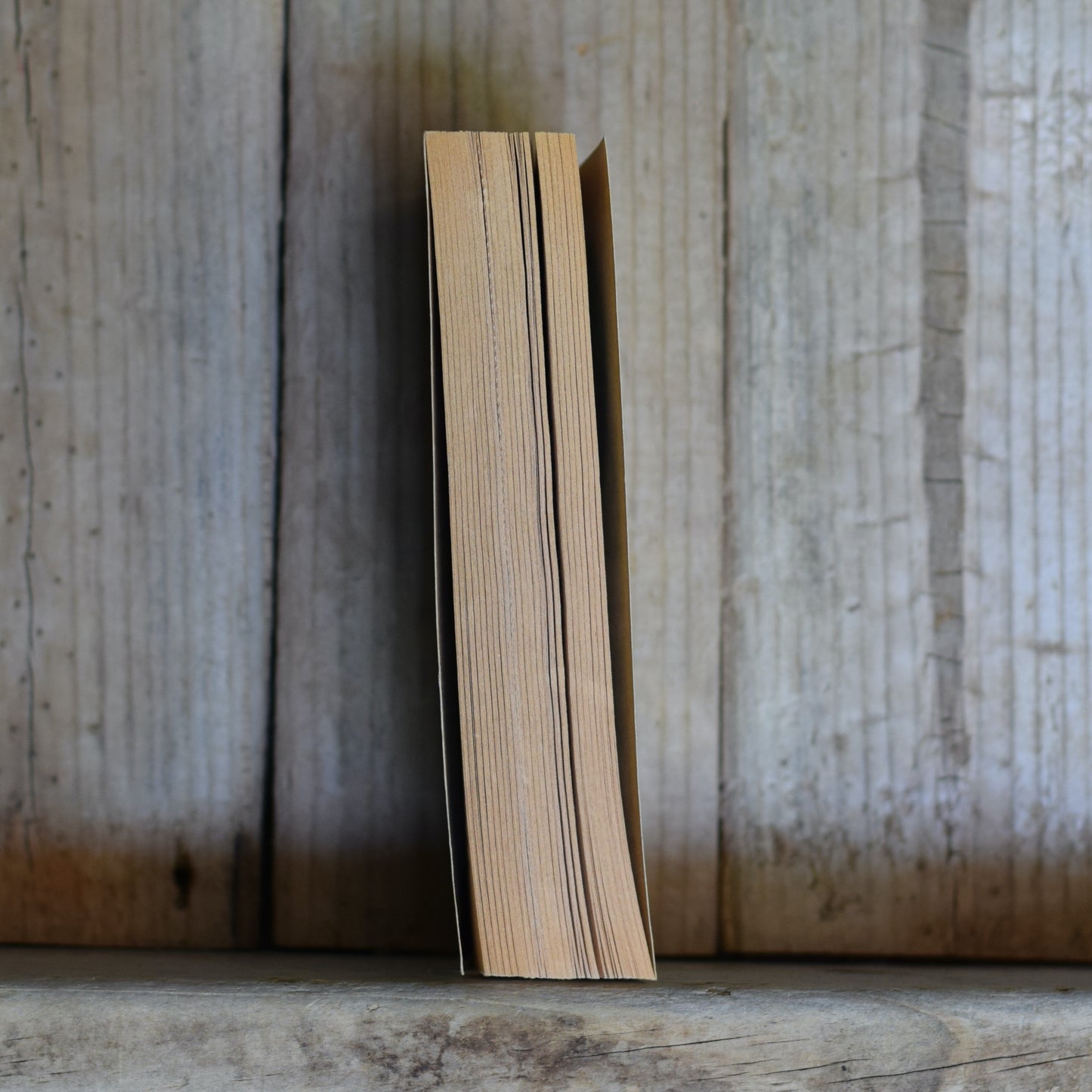 Vintage Sci-fi Paperback: Vernor Vinge - The Peace War FIRST PRINTING