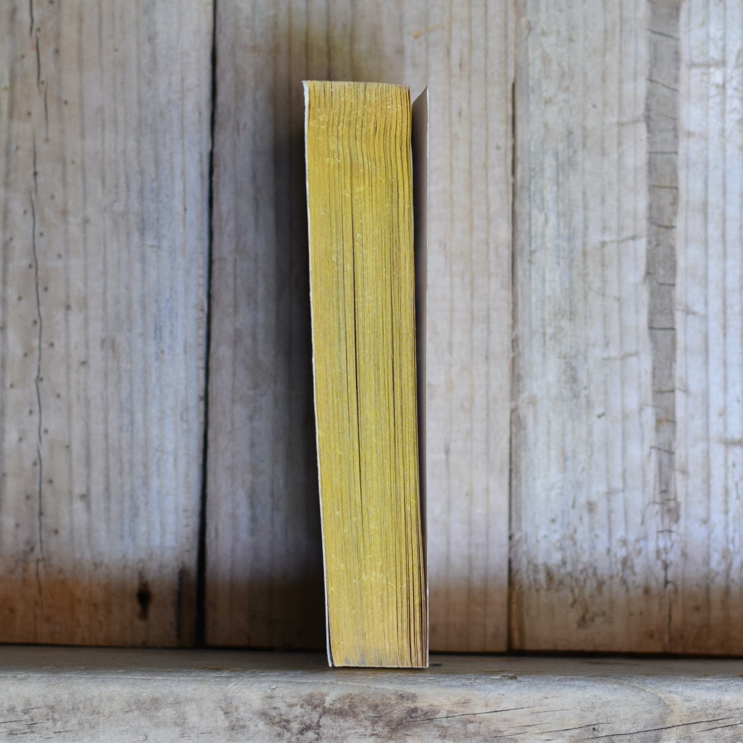 Vintage Sci-fi Paperback: Micheal P Kube-McDowell - Emprise FIRST PRINTING