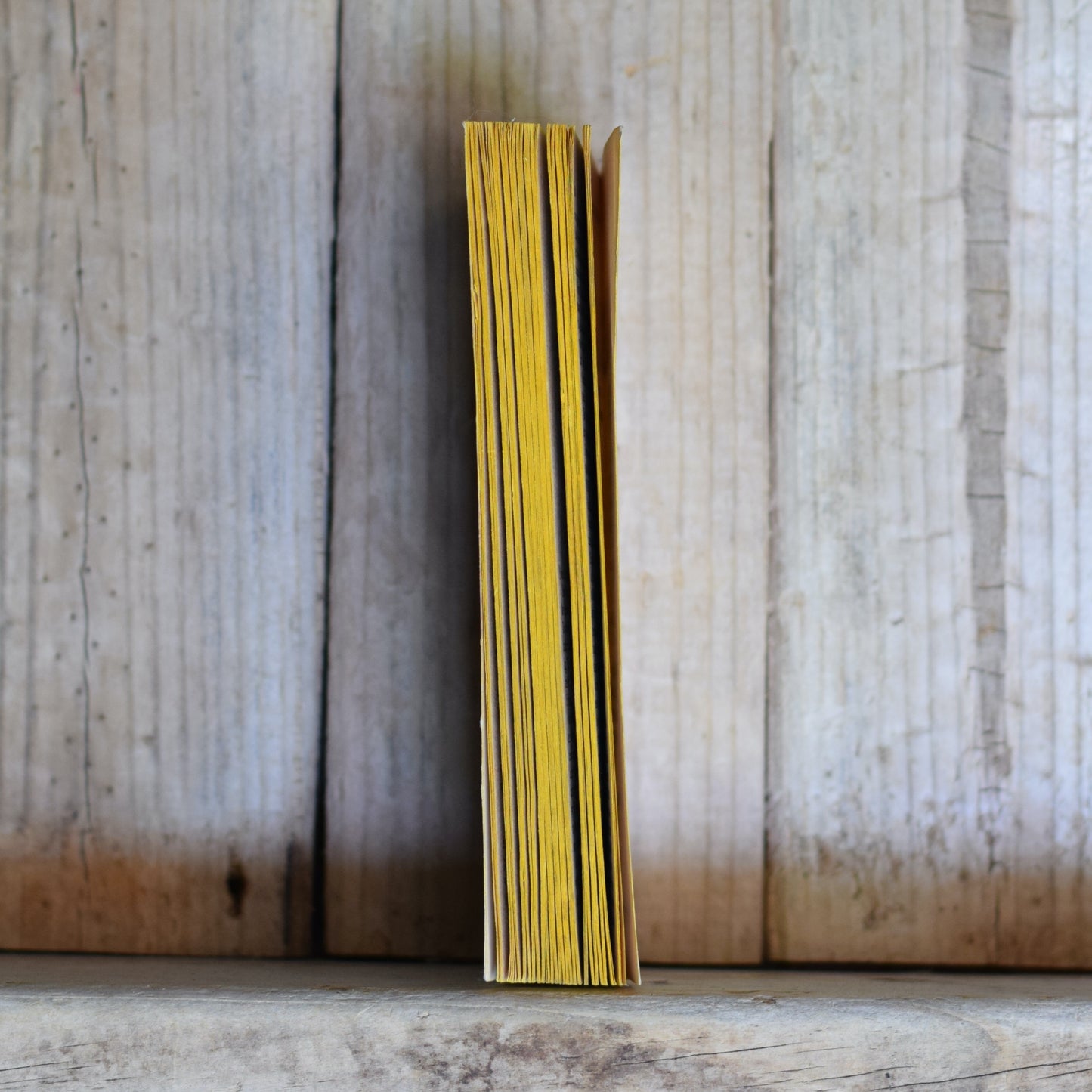 Vintage Sci-fi Paperback: A E van Vogt - Renaissance FIRST PRINTING