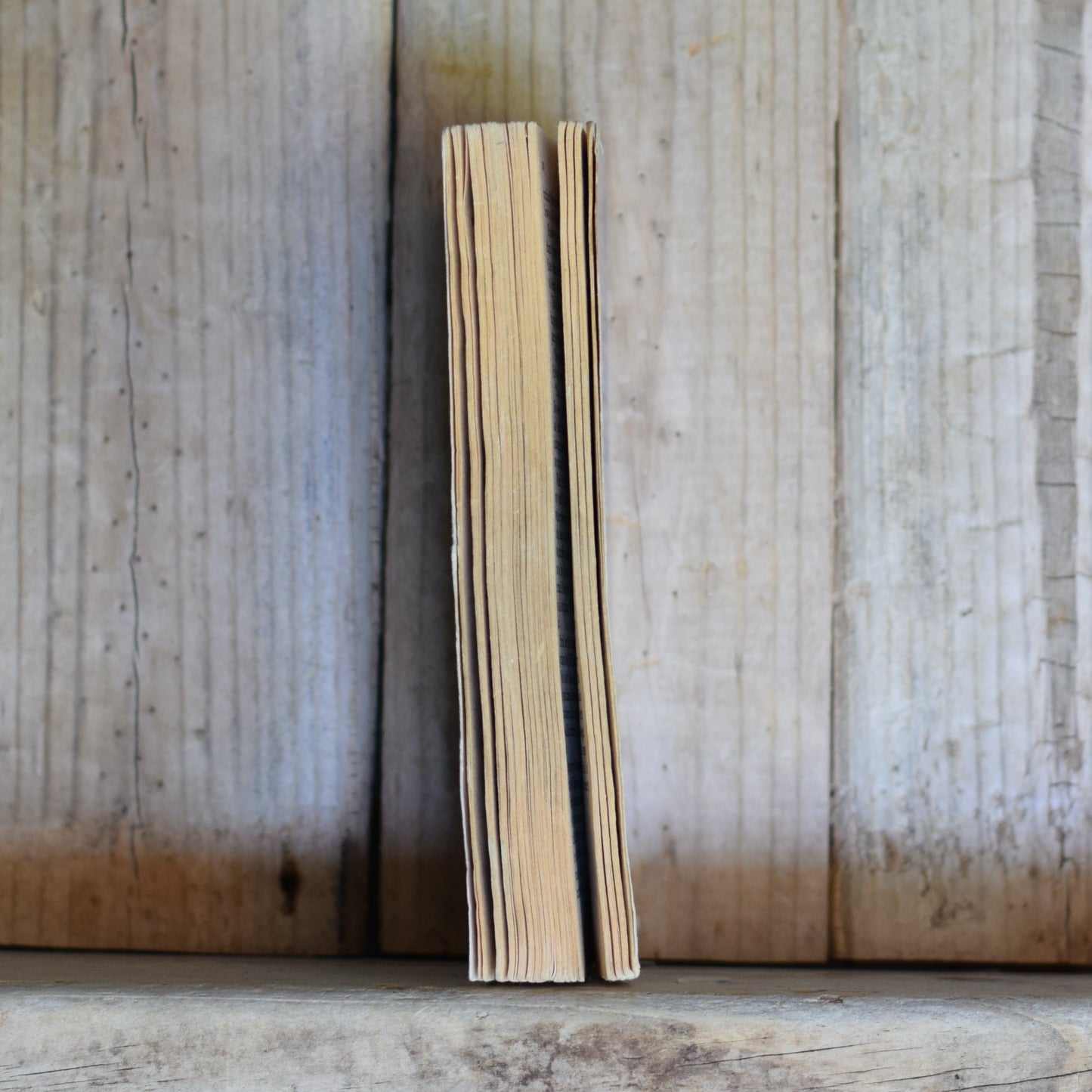 Vintage Sci-fi Paperback: L Sprague de Camp - Lest Darkness Fall