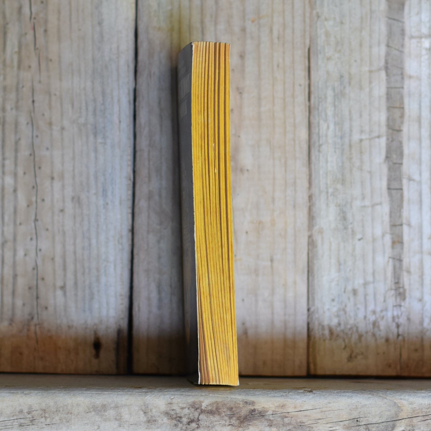 Vintage Sci-fi Paperback: Curt Siodmak - Hauser's Memory