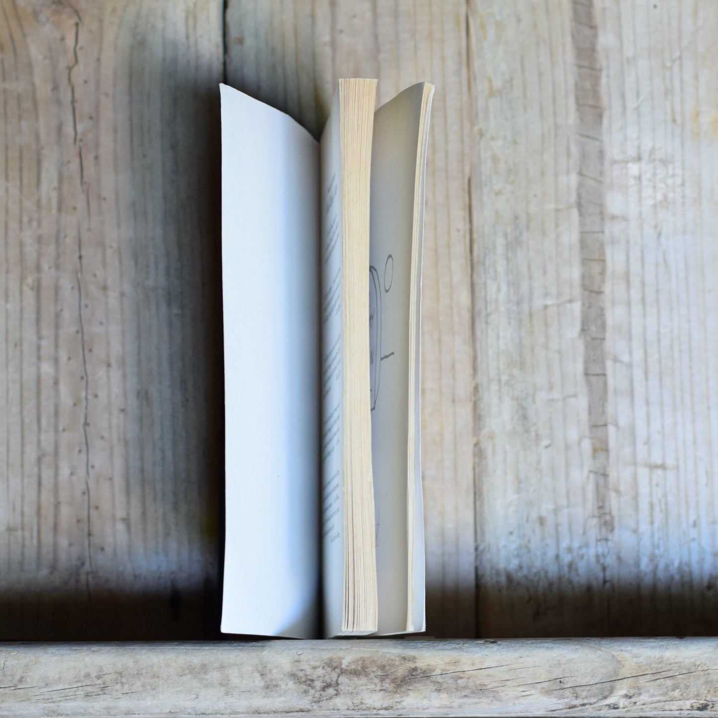 Fiction Paperback: Kurt Vonnegut - A Man Without a Country FIRST PRINTING