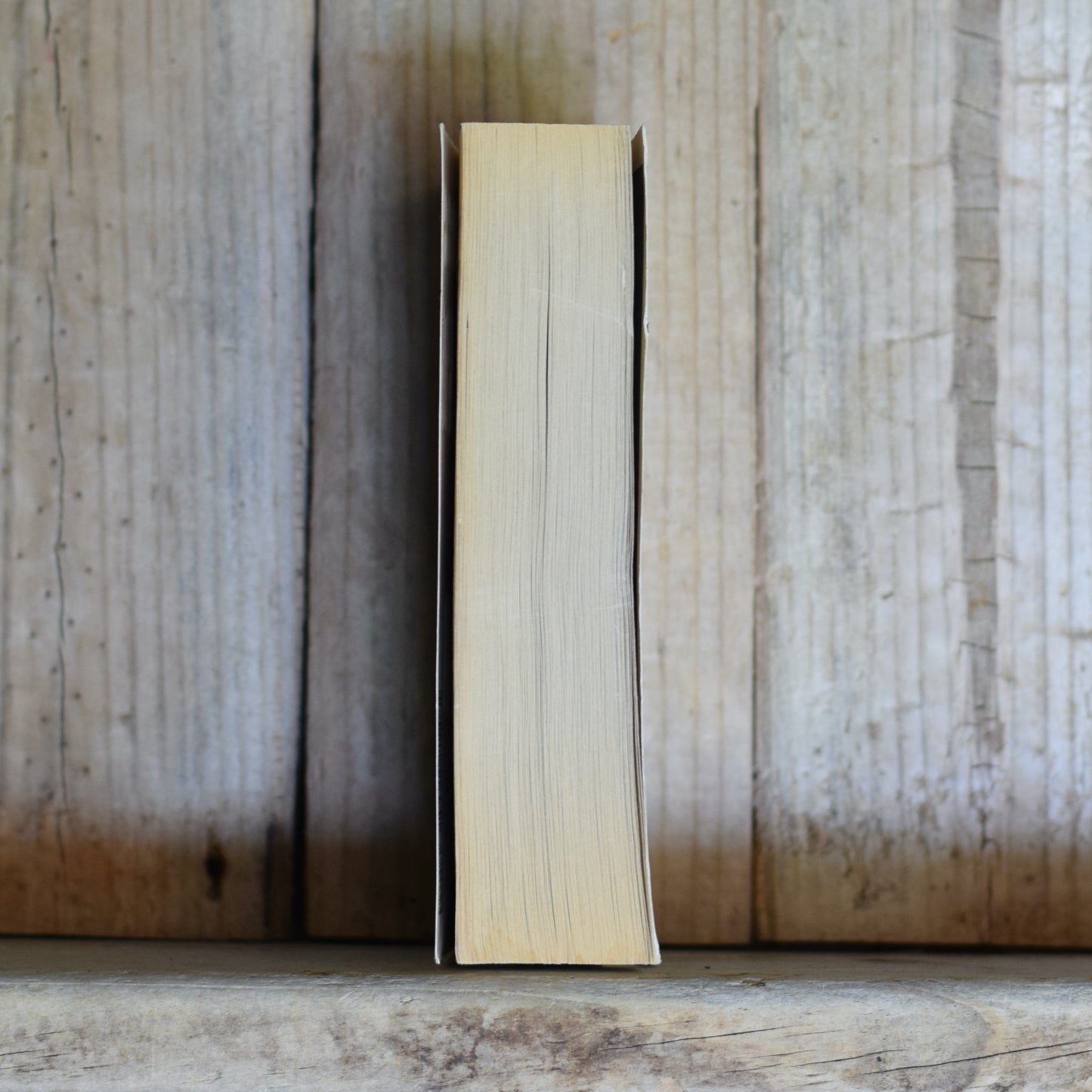 Vintage Sci-fi Paperback: Larry Niven - Playgrounds of the Mind