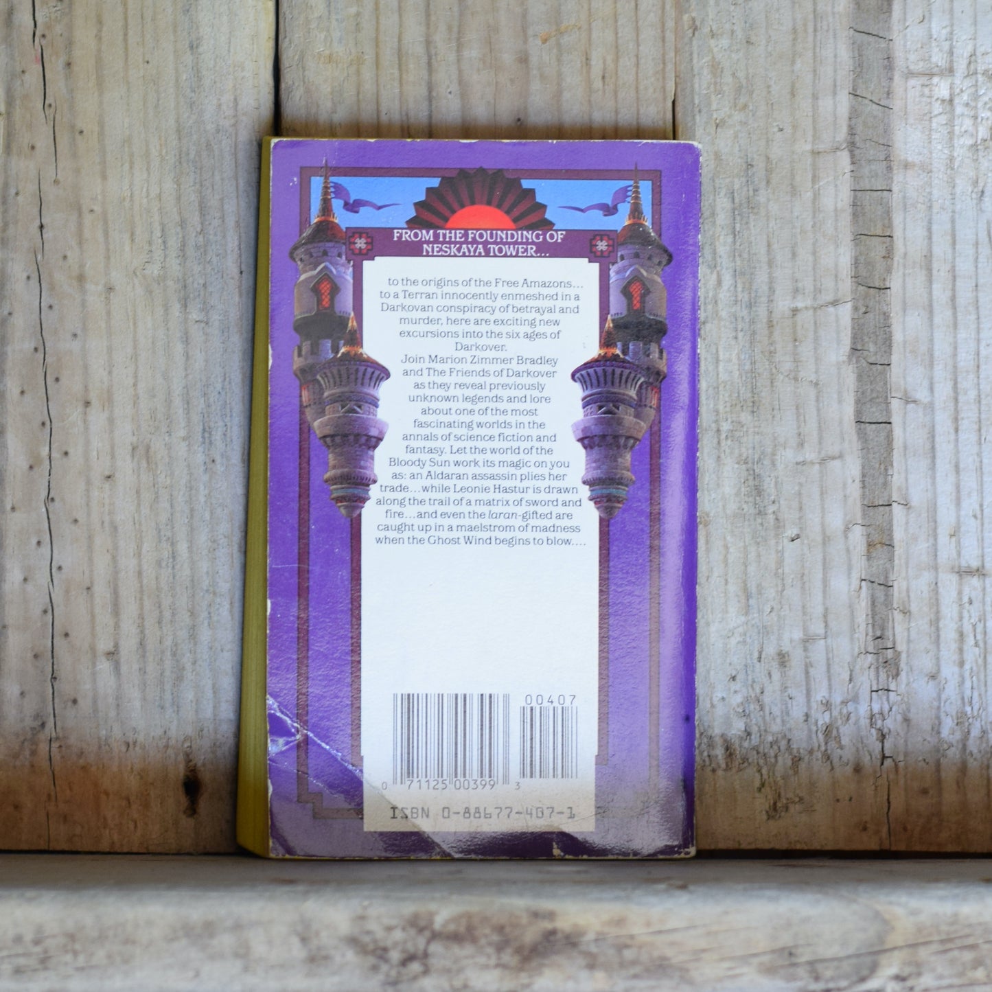 Vintage Fantasy Paperback: Marion Zimmer Bradley - Domains of Darkover