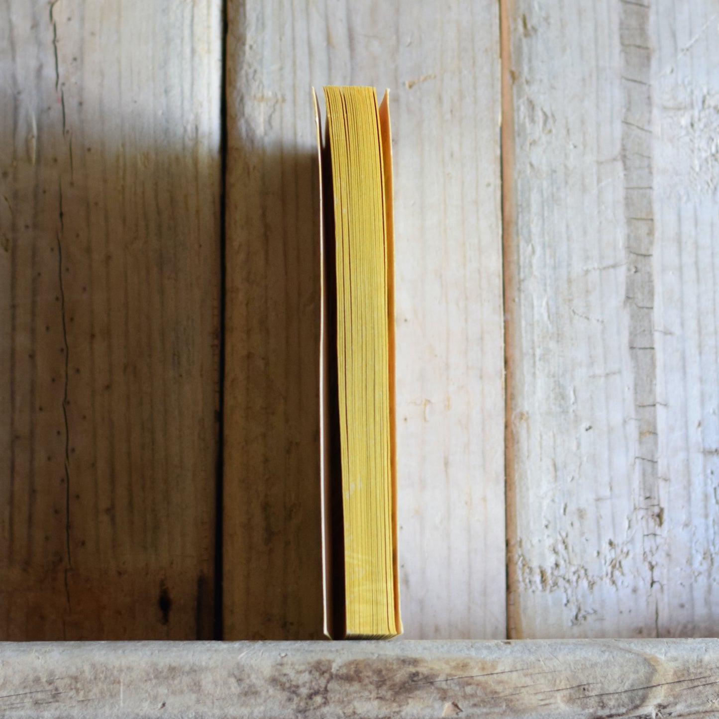 Vintage Fiction Paperback: Raving MAD, Edited by Albert B Feldstein