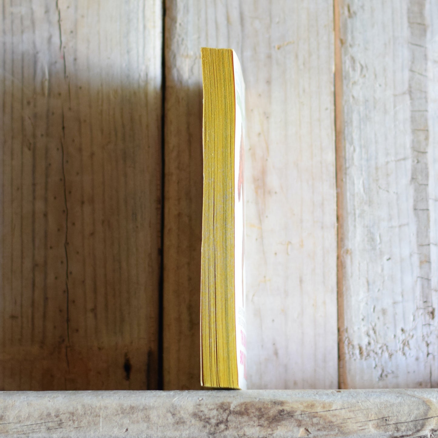 Vintage Fiction Paperback: The Abominable Snow MAD, Edited by Albert B Feldstein FIRST PRINTING