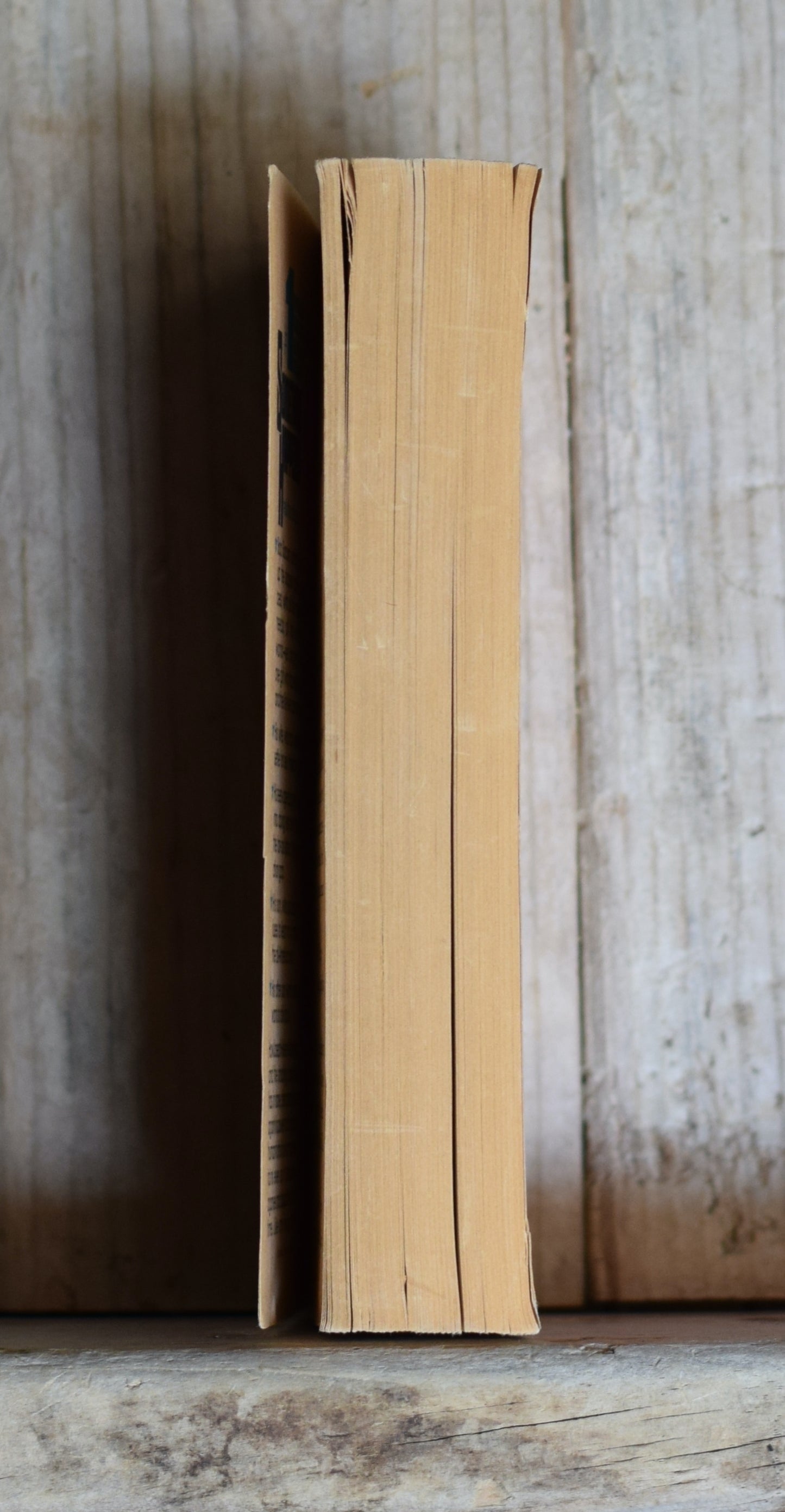 Vintage Fiction Paperback: Joseph Heller - Something Happened