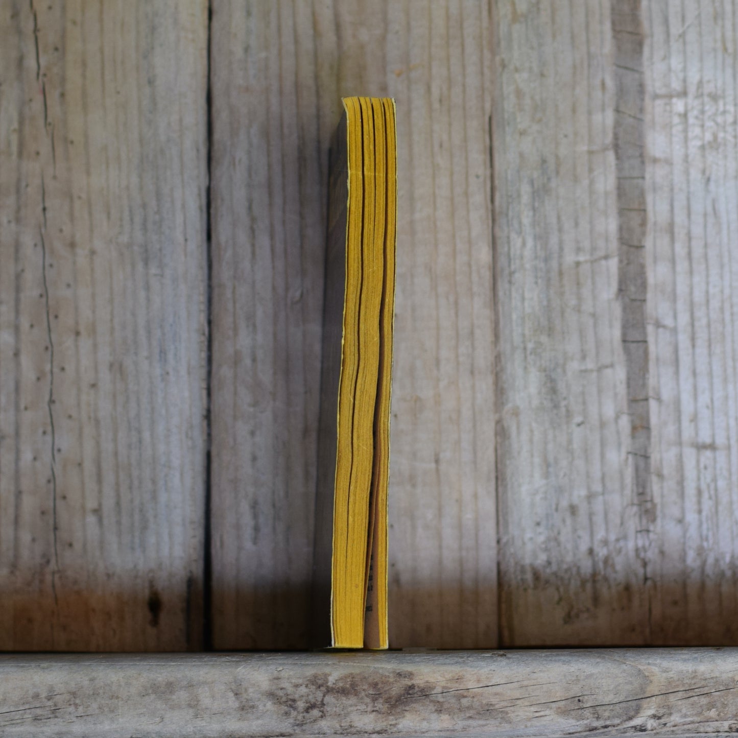 Vintage Fiction Paperback: Edgar Rice Burroughs - The Beasts of Tarzan