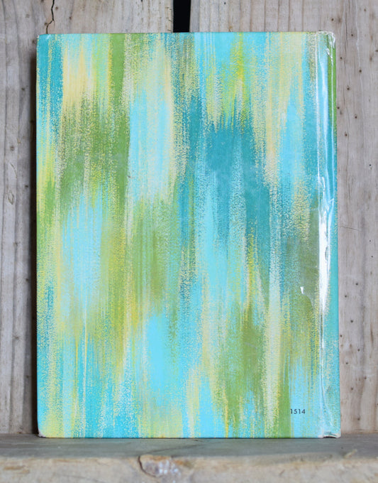 Vintage Hardback Novel: Doris Schroeder - Patty Duke and Mystery Mansion