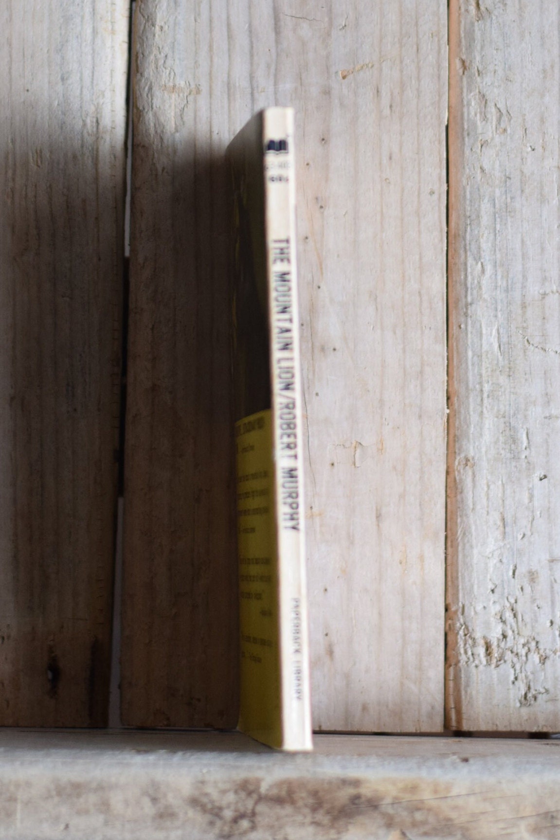 Vintage Fiction Paperback Novel: Robert Murphy - The Moutain Lion FIRST PRINTING