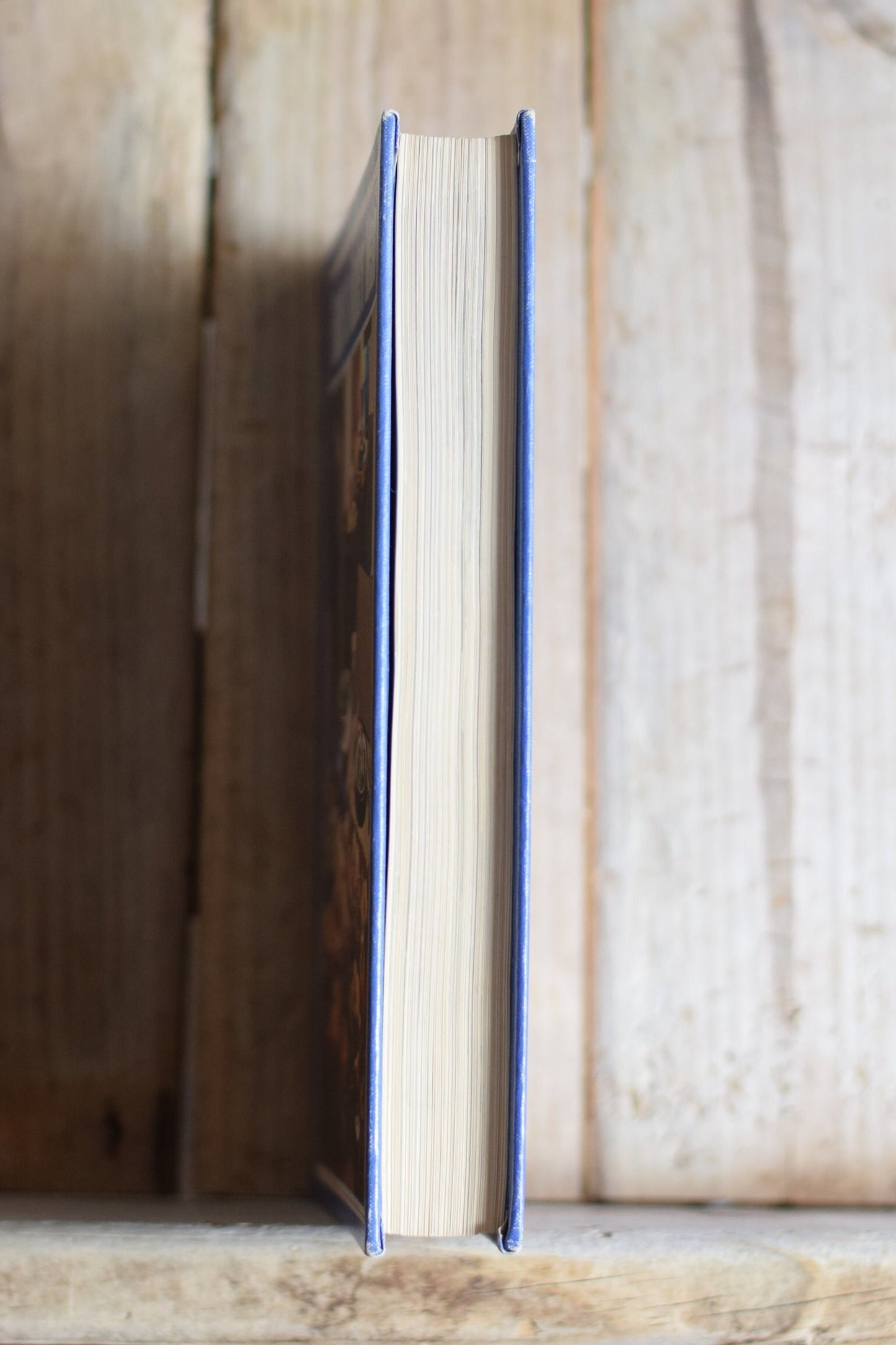 Vintage Cookbook: Shank, Fitch, Chapman, Sickler - Guide to Modern Meals, Second Edition