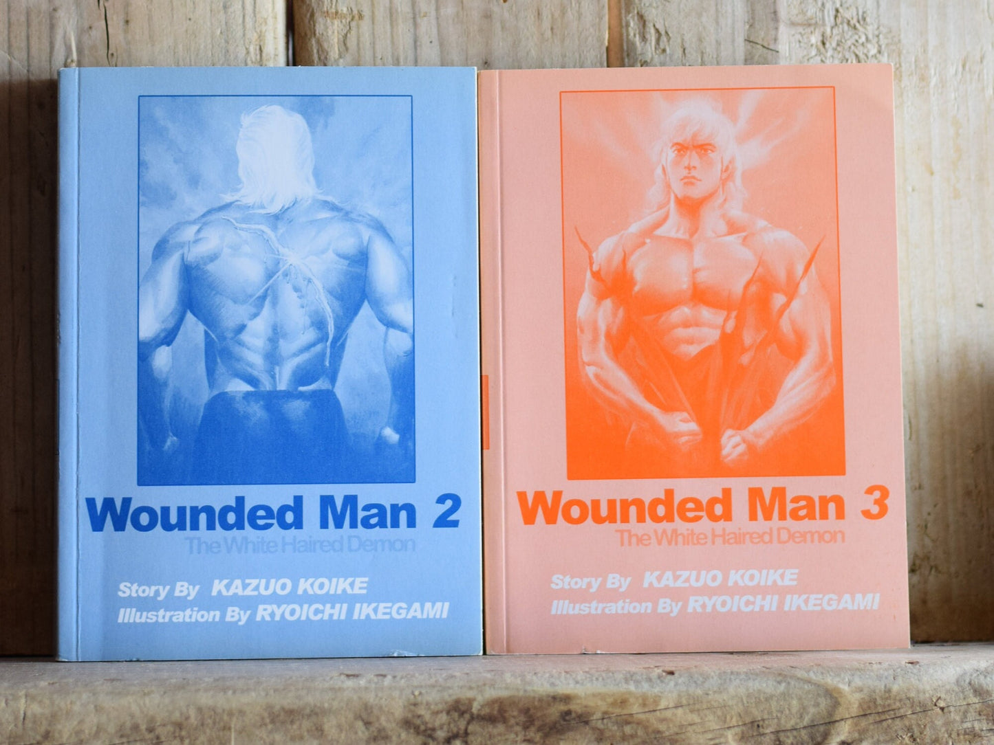 Vintage Graphic Novels: Kazuo Koike and Ryoichi Ikegami - Wounded Man, The White Haired Demon Books 2 and 3 FIRST EDITIONS