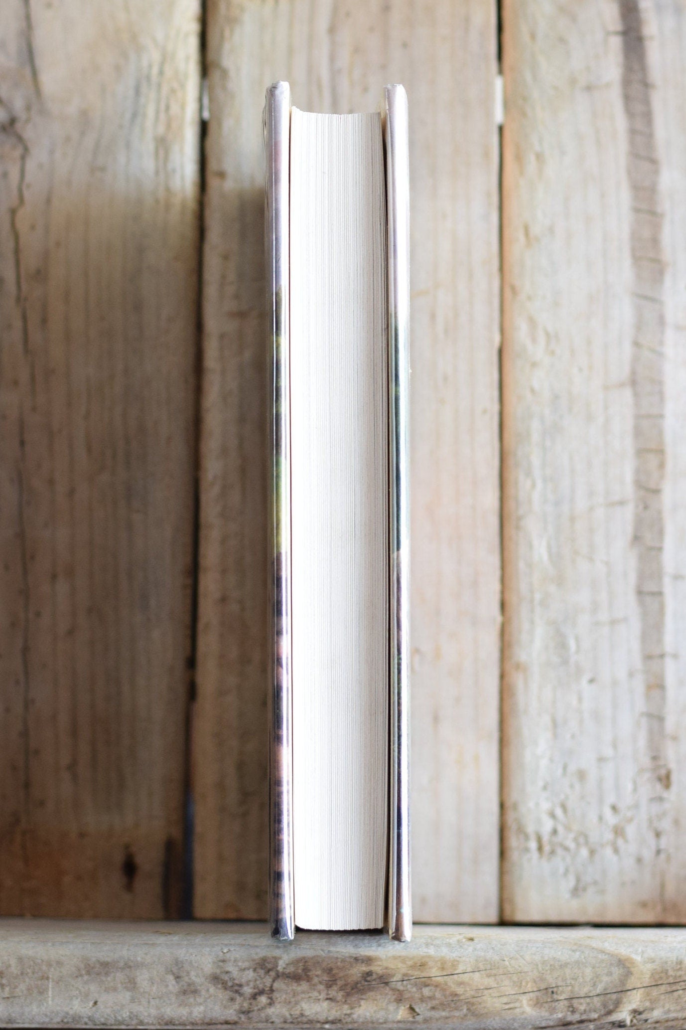 Vintage Sci-fi Hardback Novel: L E Modesitt Jr - The White Order SIGNED FIRST EDITION
