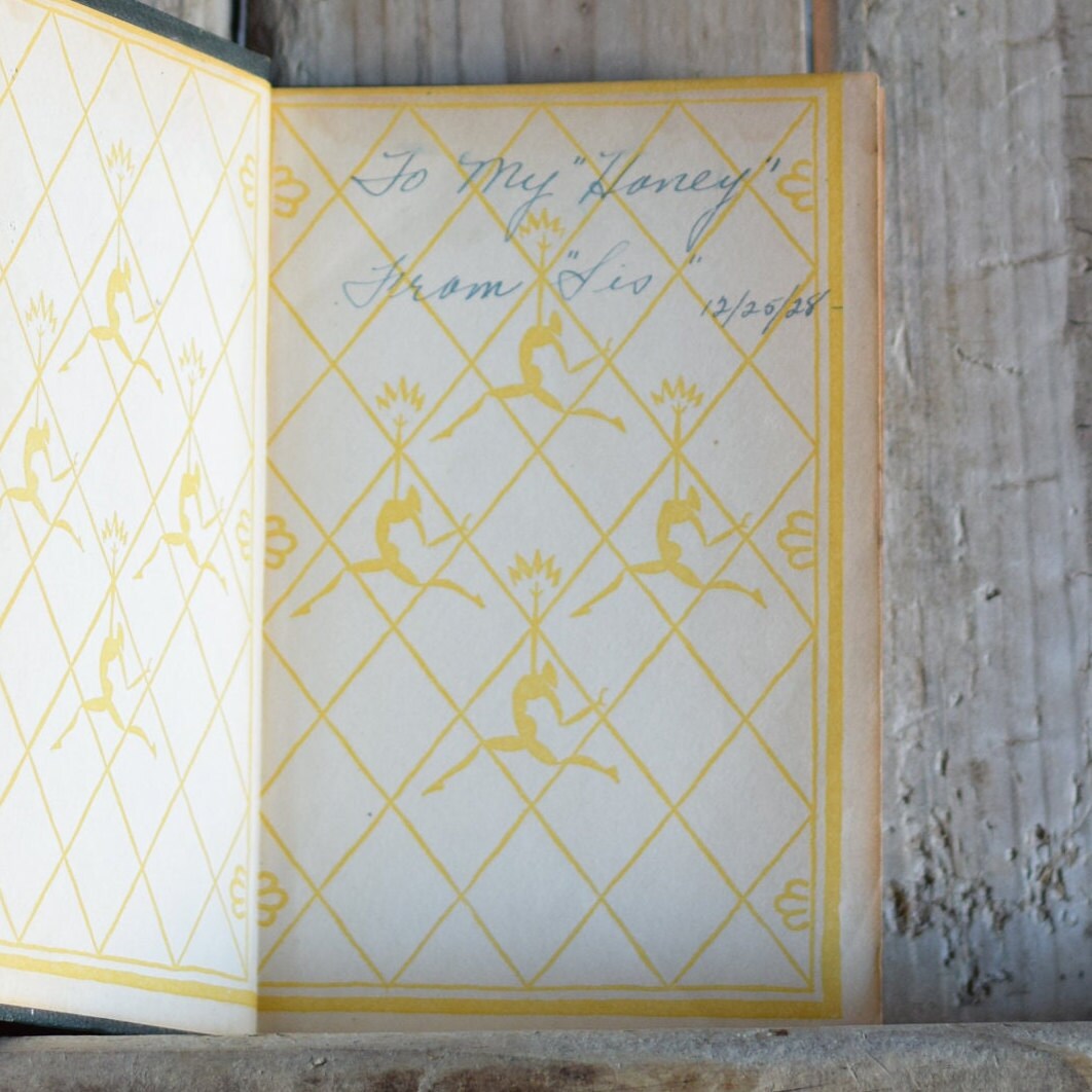 Vintage Fiction Softback Novel: Sherwood Anderson - Poor White - Modern Early Library Edition
