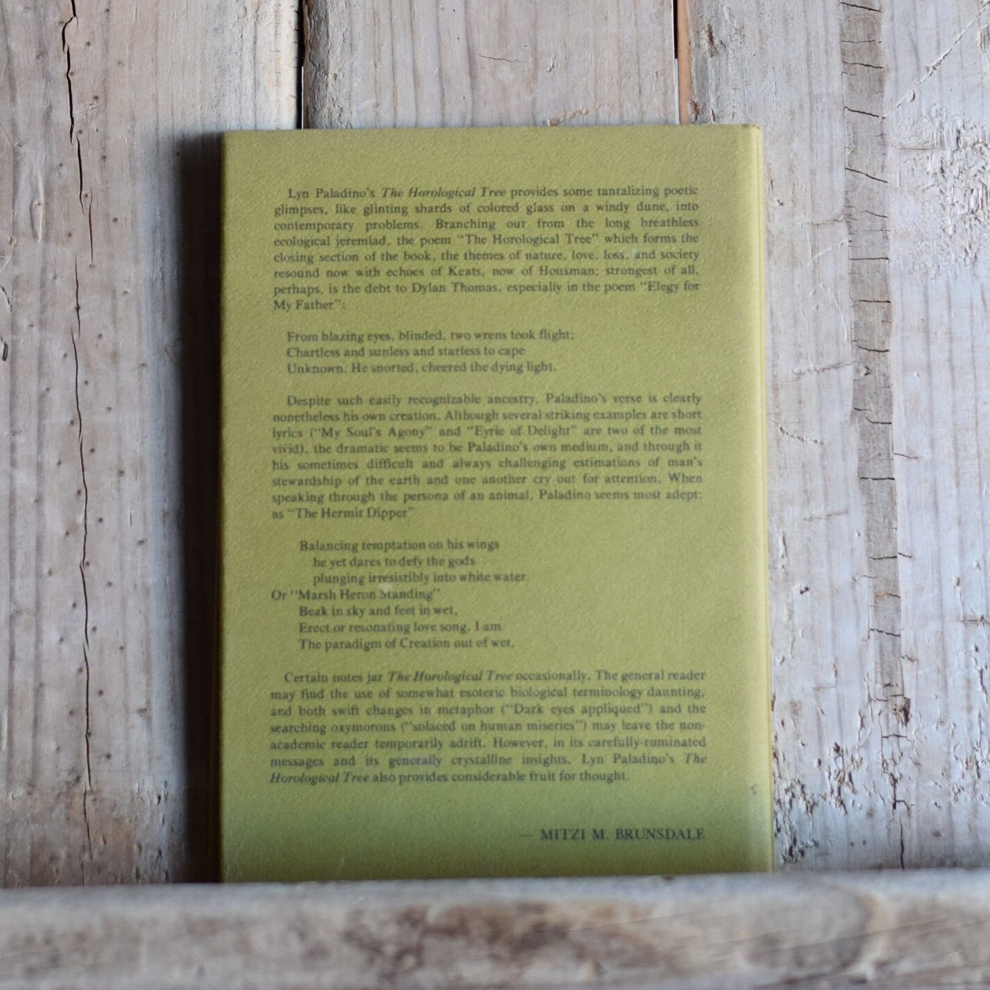 Vintage Poetry Hardback: Lyn Paladino - The Horological Tree