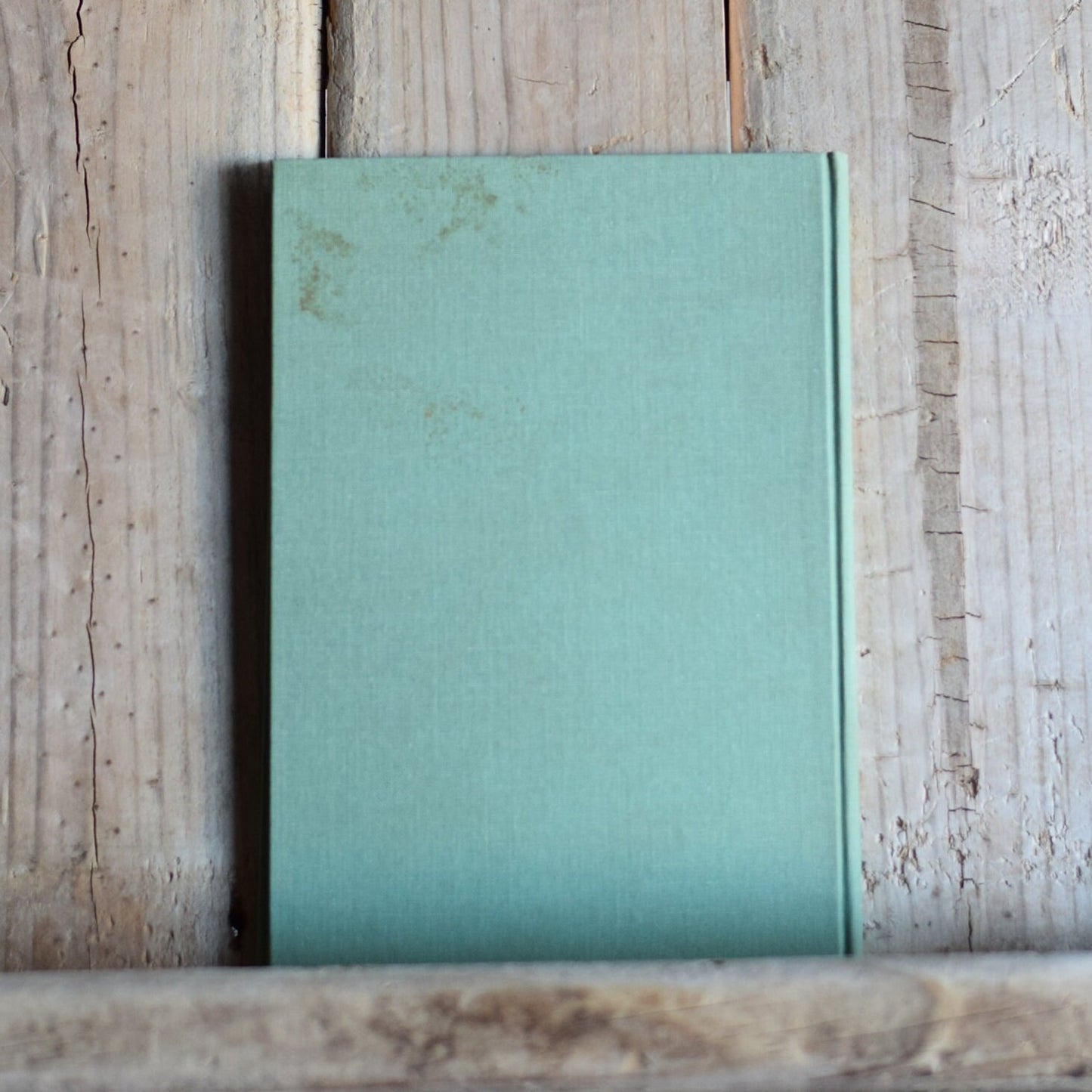 Vintage Poetry Hardback: Lyn Paladino - The Horological Tree