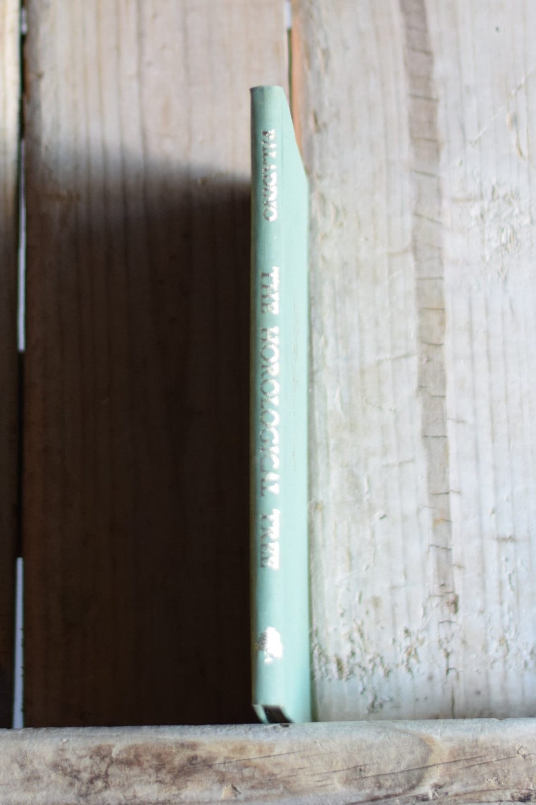 Vintage Poetry Hardback: Lyn Paladino - The Horological Tree