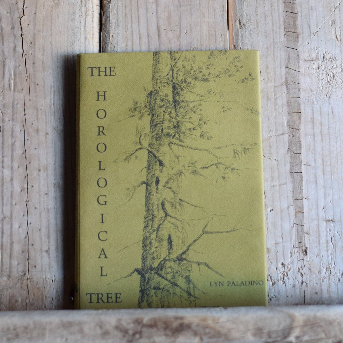 Vintage Poetry Hardback: Lyn Paladino - The Horological Tree