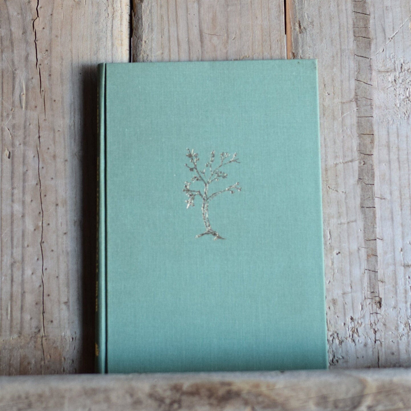 Vintage Poetry Hardback: Lyn Paladino - The Horological Tree