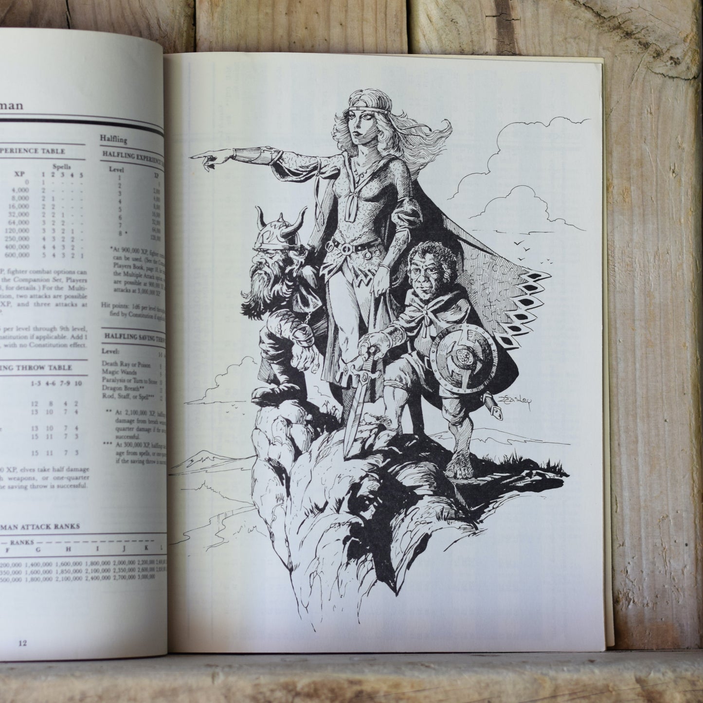 Vintage RPG Book: Dungeons and Dragons Master Players' and DM's Books