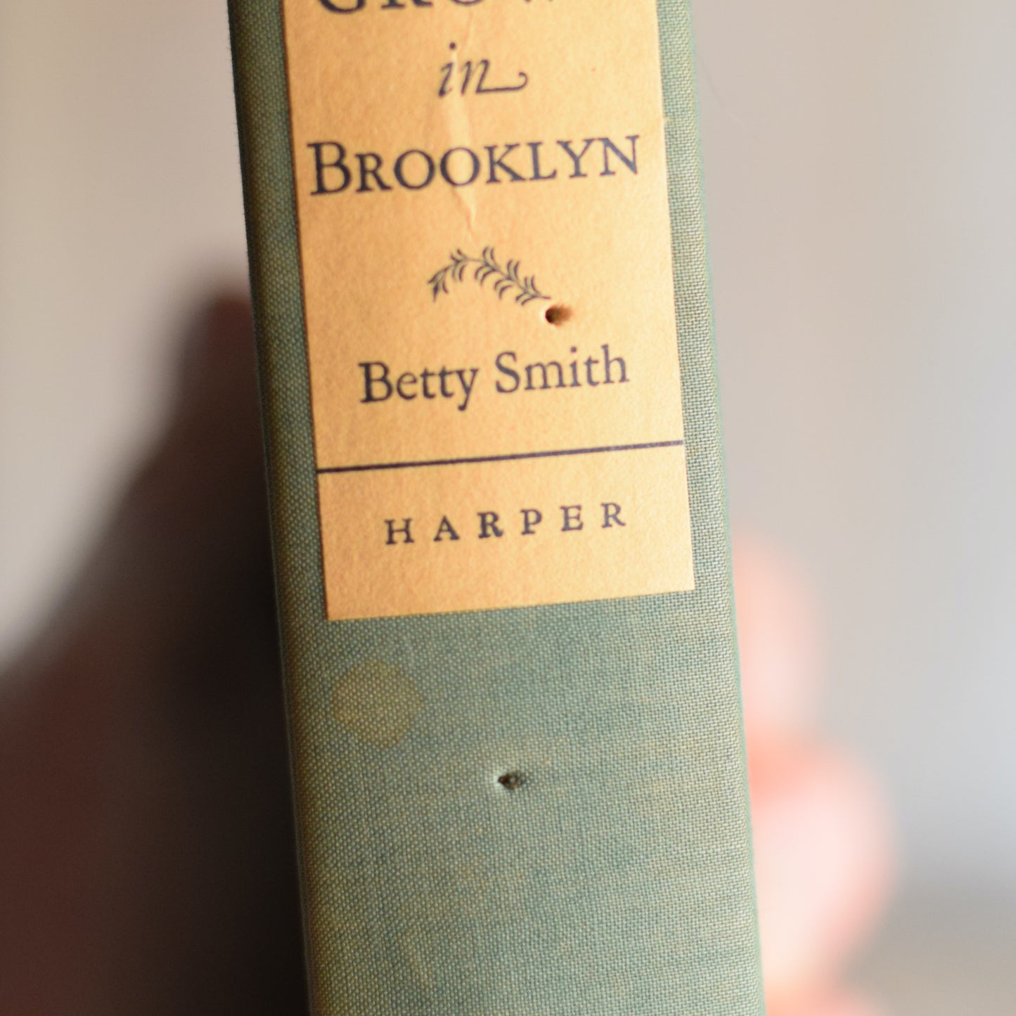 Antique Fiction Hardback: Betty Smith - A Tree Grows in Brooklyn FIRST EDITION