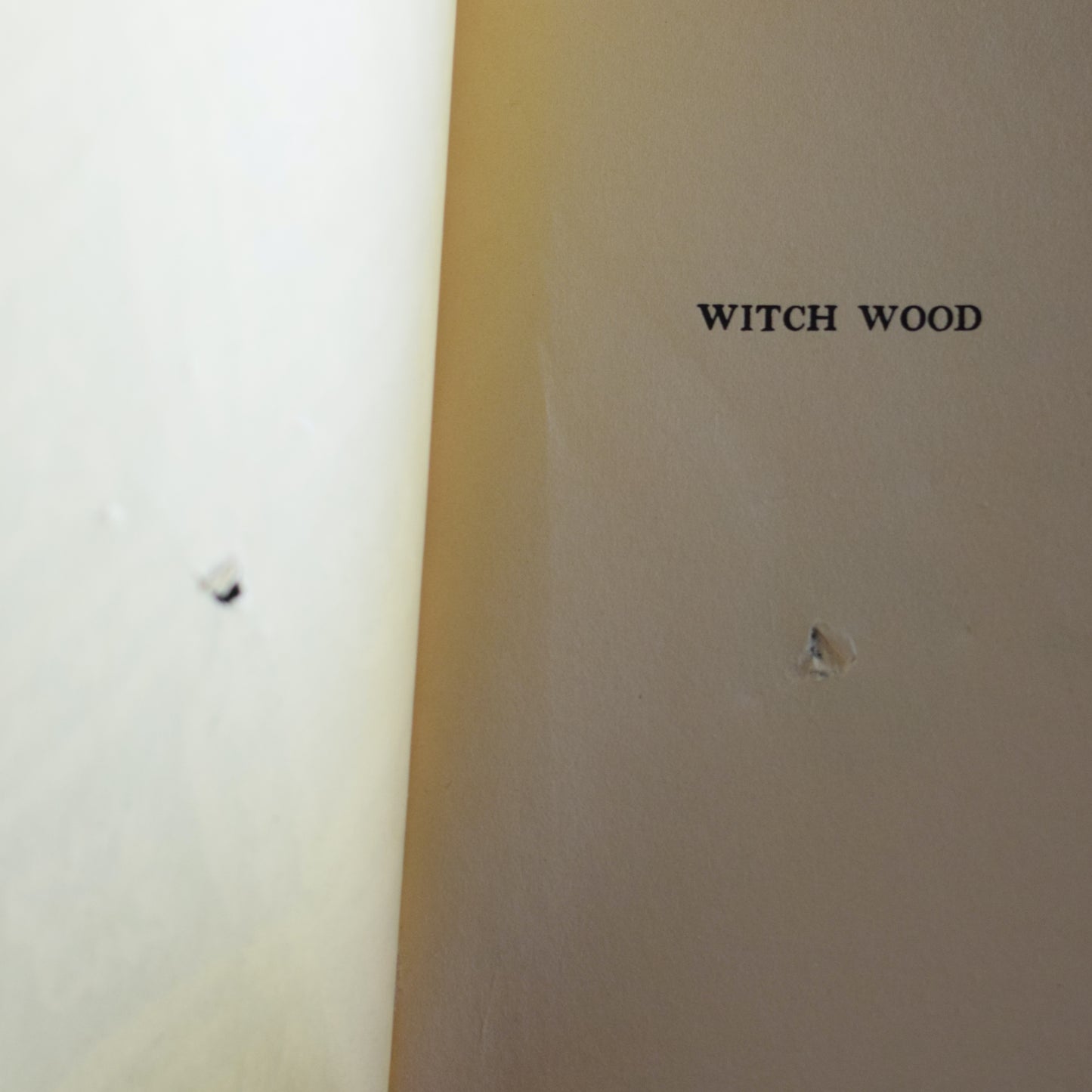 Vintage Fiction Hardback: John Buchan - Witch Wood '1027' FIRST EDITION