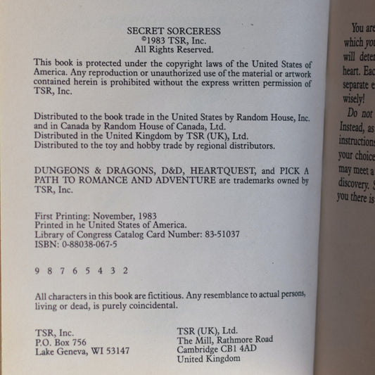 Vintage Dungeons and Dragons Paperback: Linda Lowery - Heart Quest: Secret Sorceress SECOND PRINTING