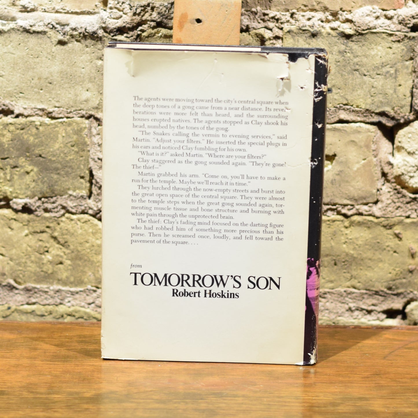 Vintage Sci-fi Hardback: Robert Hoskins - Tomorrow's Son FIRST EDITION