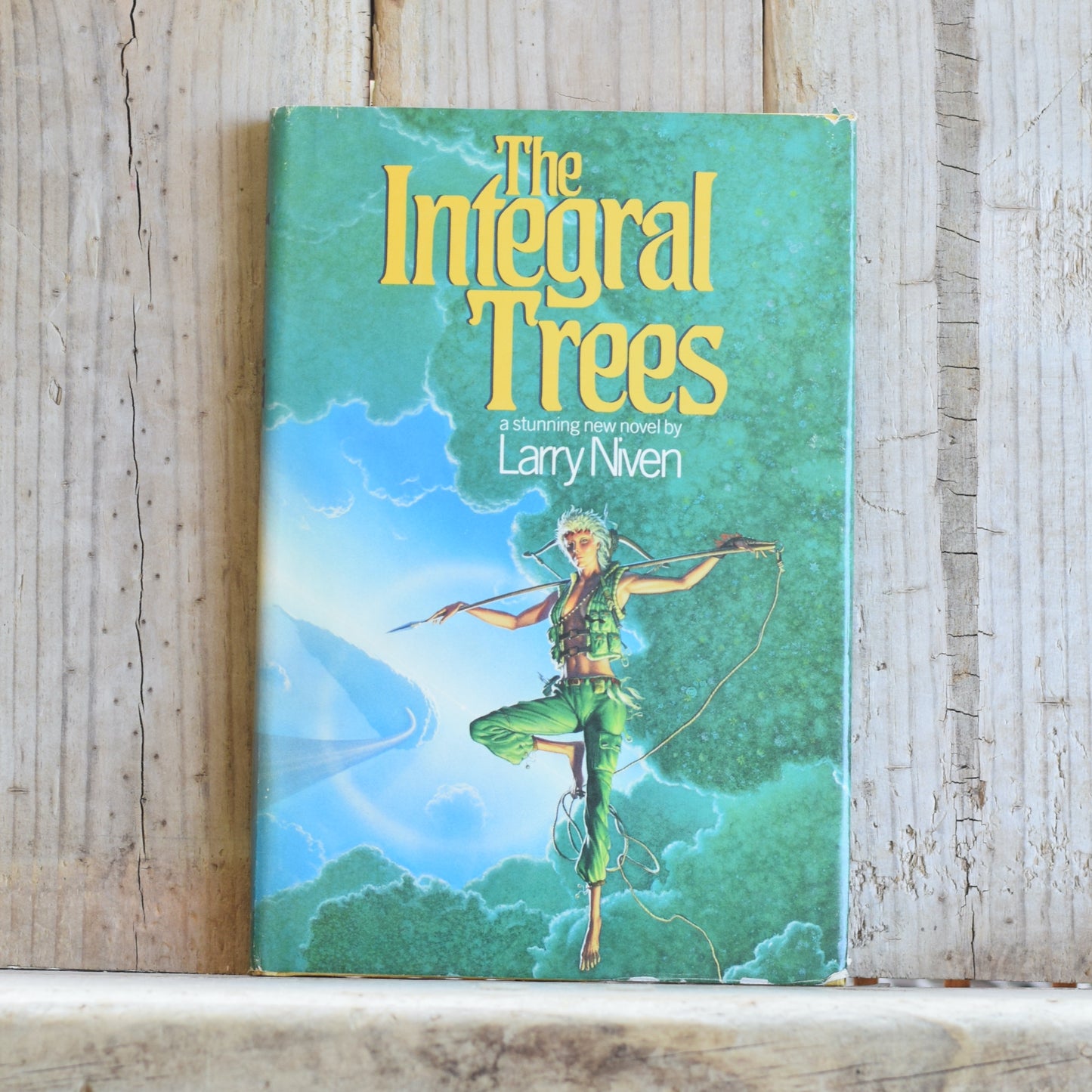 Vintage Fantasy Hardback: Larry Niven - The Integral Trees BCE