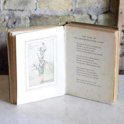 Antique Poetry Hardback: Cicely M Barker - The Book of the Flower Fairies FIRST EDITION