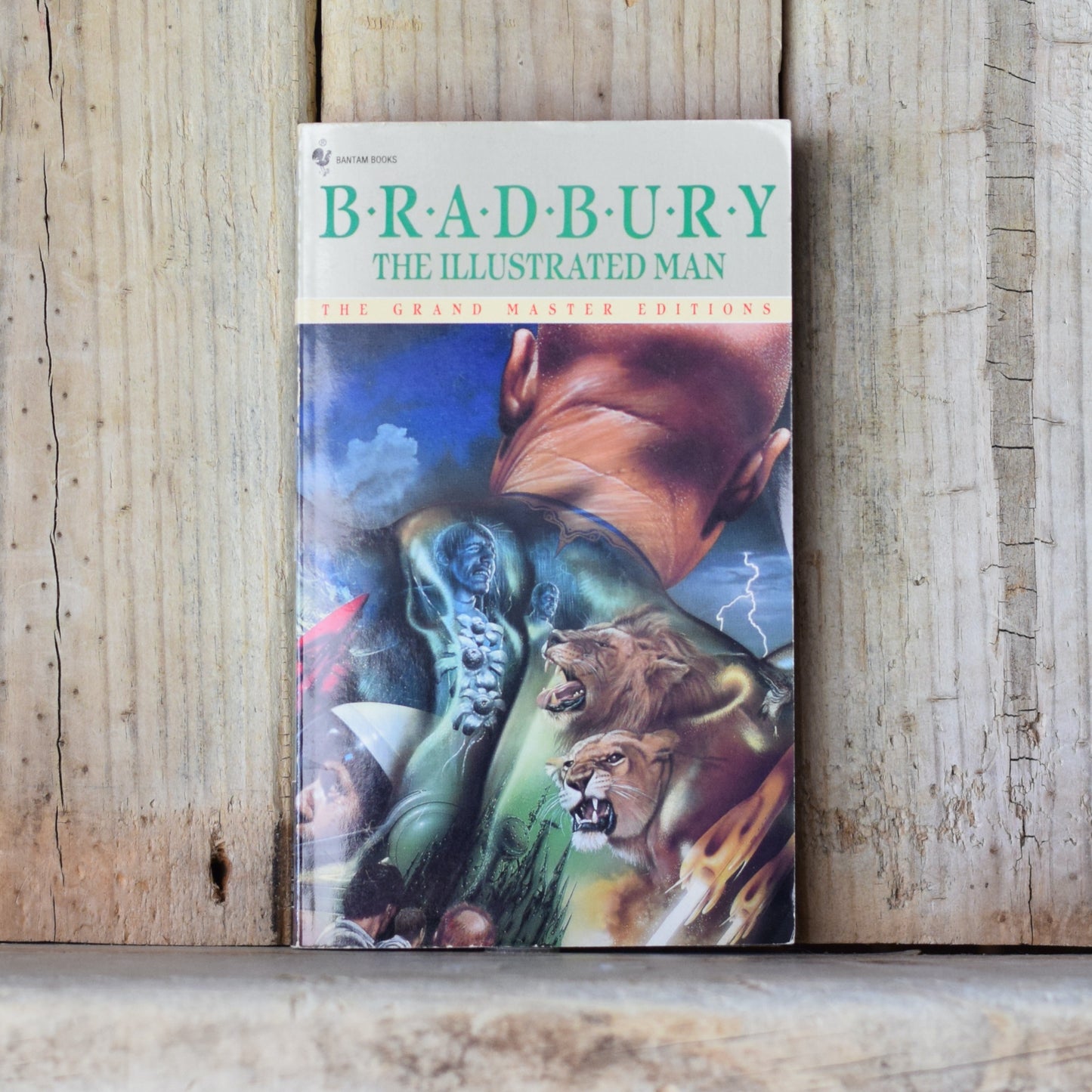 Vintage Sci-fi Paperback: Ray Bradbury - The Illustrated Man