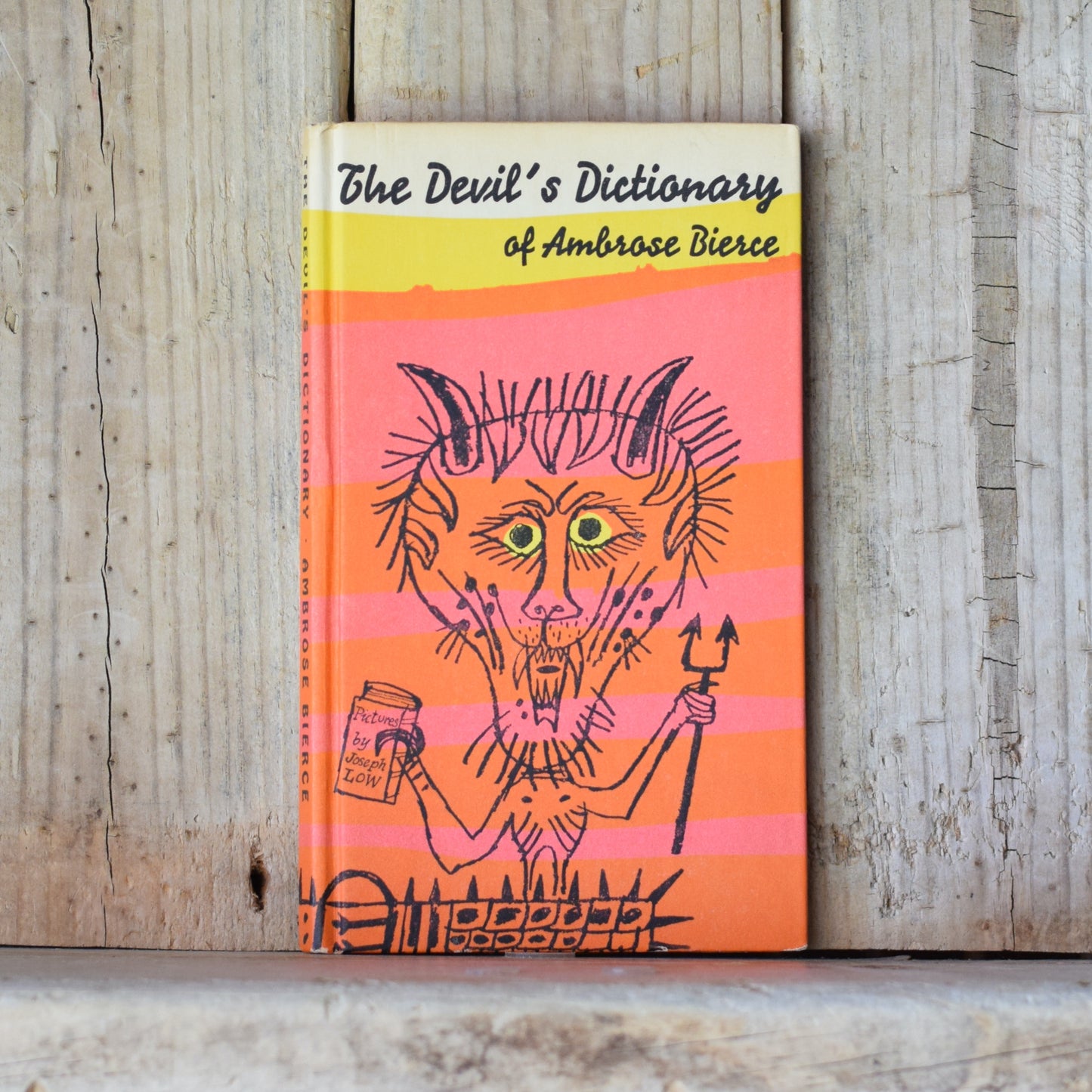 Vintage Fiction Hardback: Ambrose Bierce - The Devil's Dictionary