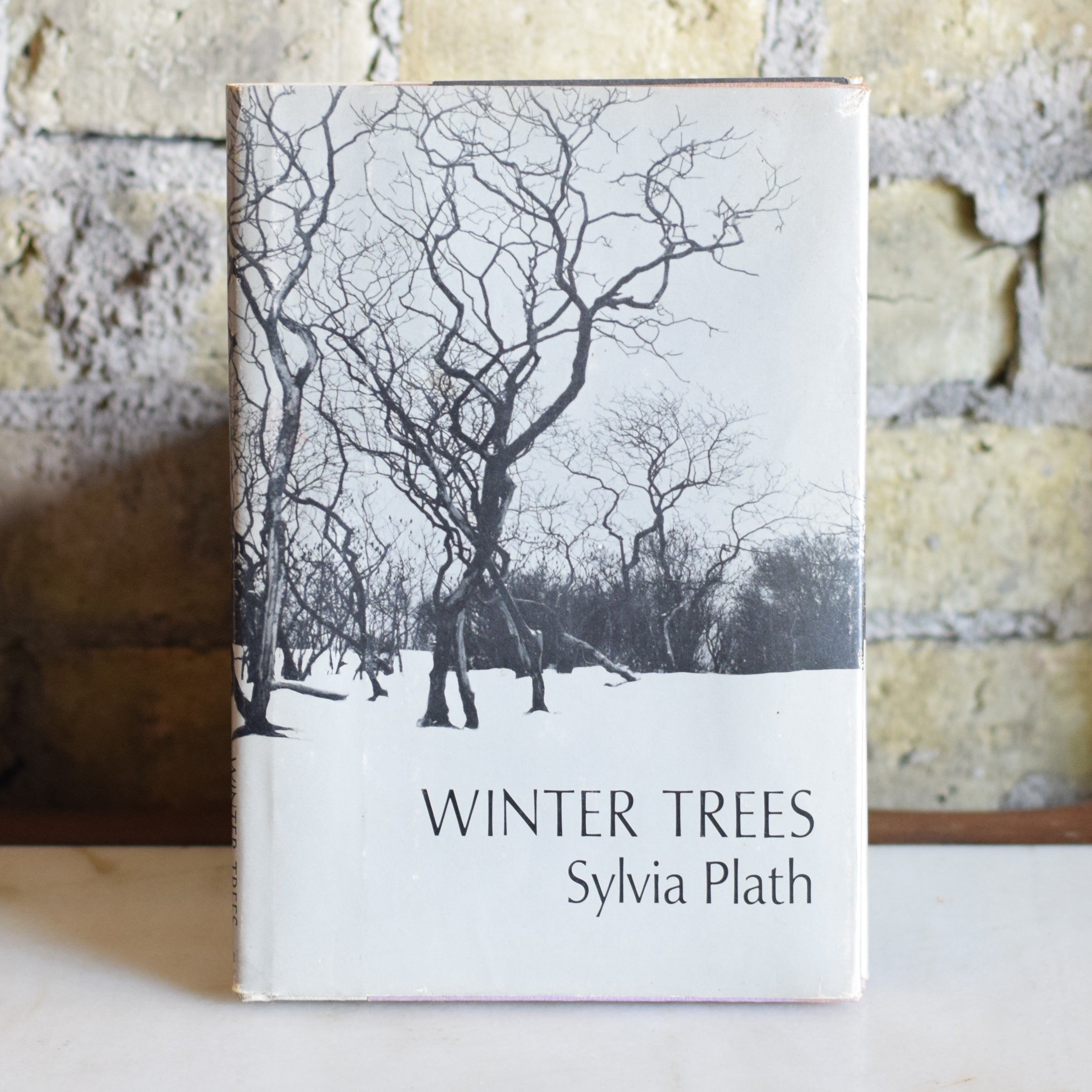 Winter Trees by Sylvia Plath includes Three Women Ariel Poems Contemporary. Vintage book circa 1972 No writing store inside. Beautiful gift.