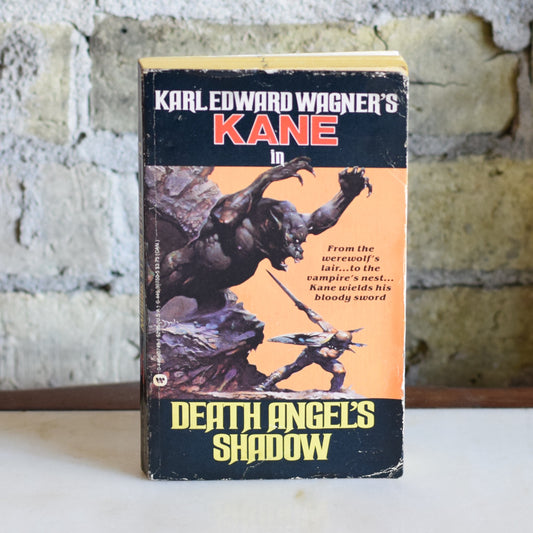 Vintage Fantasy Paperback: Karl Edward Wagner - Death Angel's Shadow