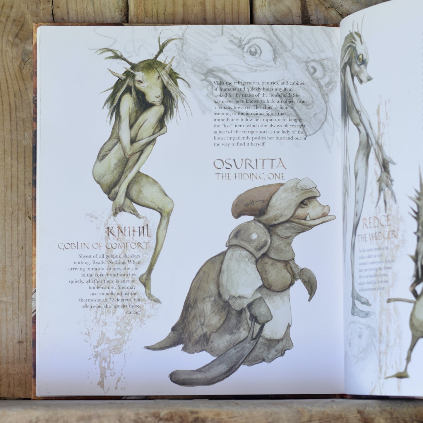 Hardback Fantasy: Brian Froud's Goblins! by Ari Berk FIRST PRINTING