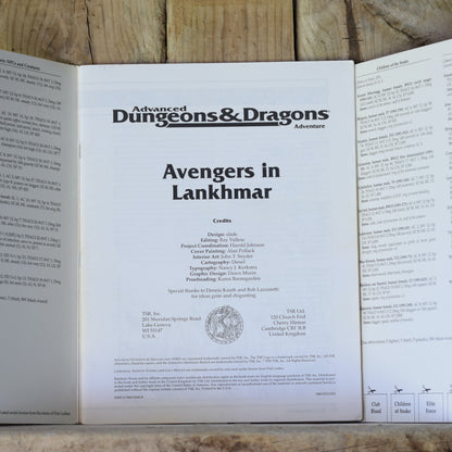 Vintage Dungeons and Dragons RPG Book: AD&D Avengers in Lankhmar Official Adventure