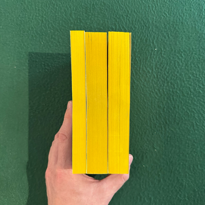 Vintage Horror Paperbacks: Stephen King - Carrie, 'Salem's Lot & The Shining Box Set