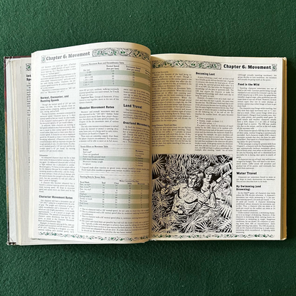 Vintage Dungeons & Dragons Accessory: Rules Cyclopedia 1991