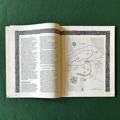 Vintage Dungeons & Dragons 2e Accessory: Forgotten Realms: Maztica Alive! DM Guide