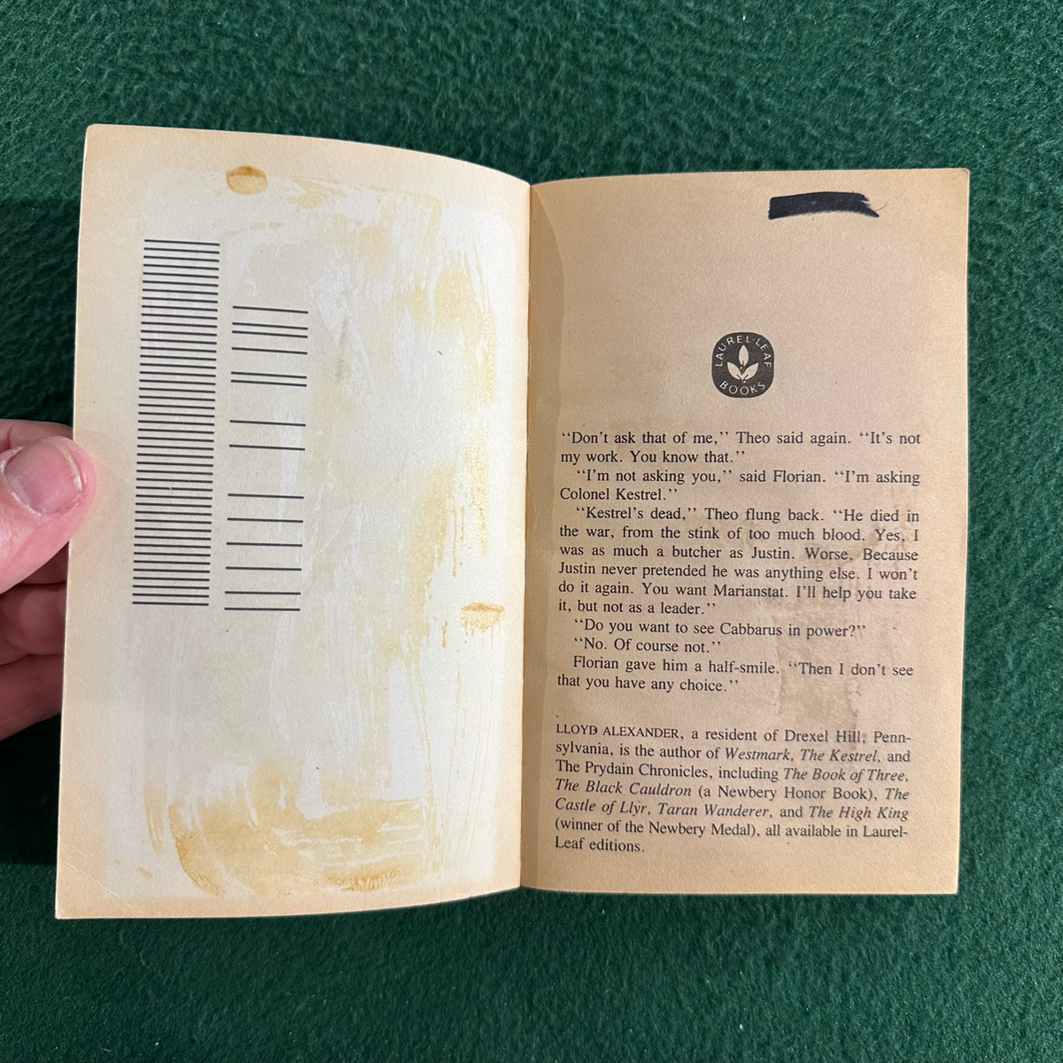 Vintage Fantasy Paperback: Lloyd Alexander - The Beggar Queen