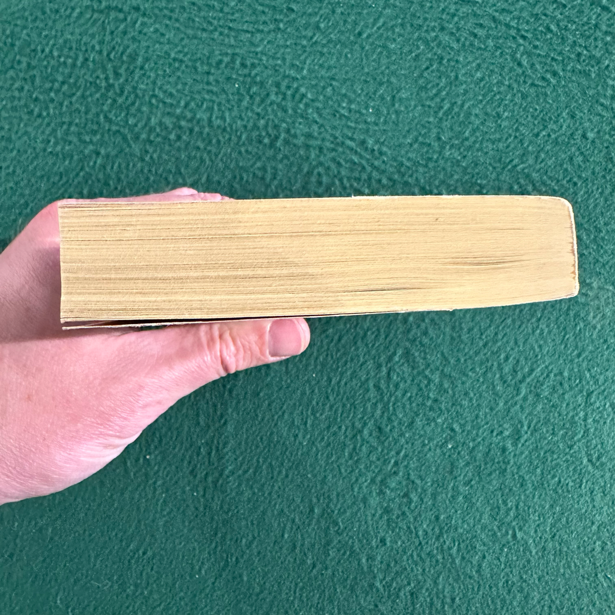 Vintage Fiction Paperback: Cleo Birdwell (Don Delillo) - Amazons