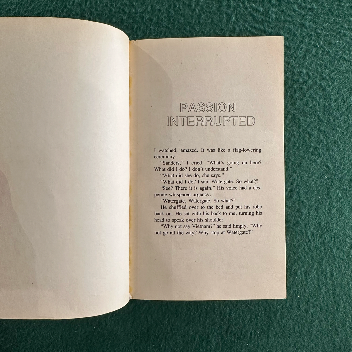 Vintage Fiction Paperback: Cleo Birdwell (Don Delillo) - Amazons