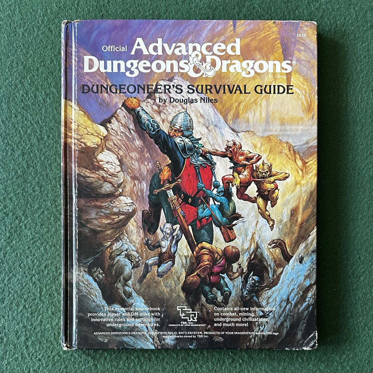 Vintage Advanced Dungeons & Dragons Accessory: Dungeoneer's Survival Guide