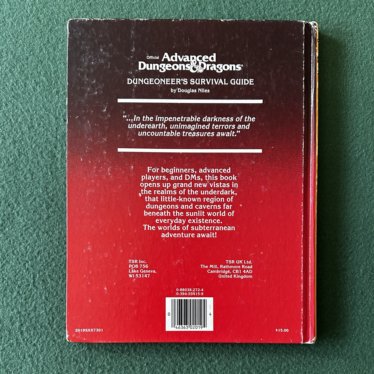 Vintage Advanced Dungeons & Dragons Accessory: Dungeoneer's Survival Guide