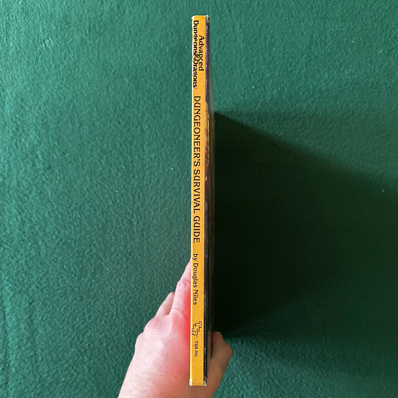 Vintage Advanced Dungeons & Dragons Accessory: Dungeoneer's Survival Guide