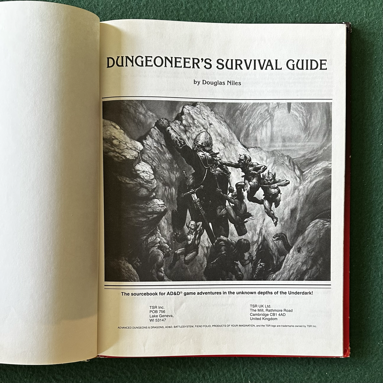 Vintage Advanced Dungeons & Dragons Accessory: Dungeoneer's Survival Guide