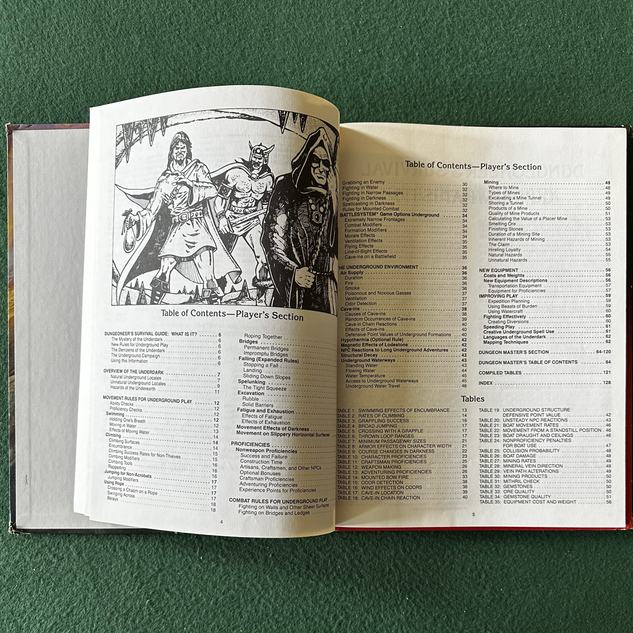 Vintage Advanced Dungeons & Dragons Accessory: Dungeoneer's Survival Guide