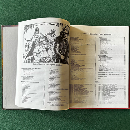 Vintage Advanced Dungeons & Dragons Accessory: Dungeoneer's Survival Guide