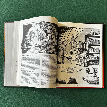 Vintage Advanced Dungeons & Dragons Accessory: Dungeoneer's Survival Guide
